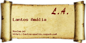 Lantos Amália névjegykártya